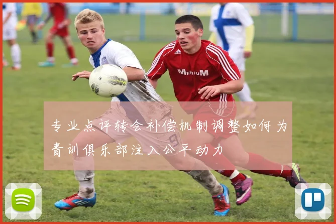 专业点评转会补偿机制调整如何为青训俱乐部注入公平动力