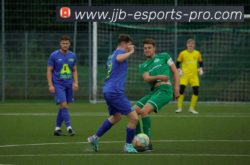 竞技宝服务体系